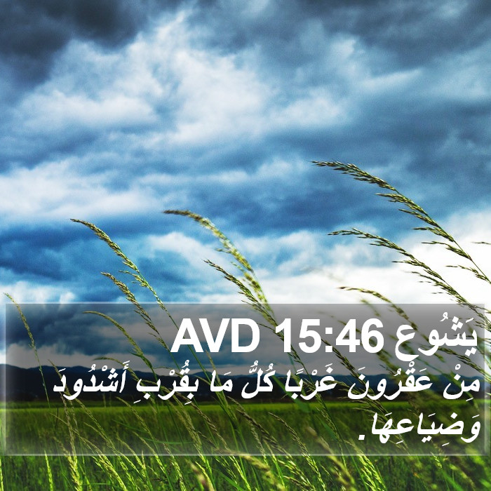 يَشُوع 15:46 AVD Bible Study