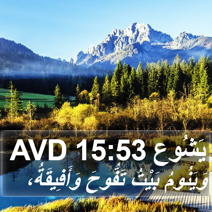 يَشُوع 15:53 AVD Bible Study