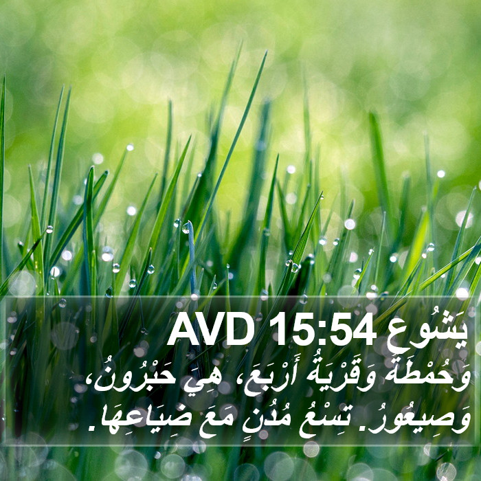 يَشُوع 15:54 AVD Bible Study