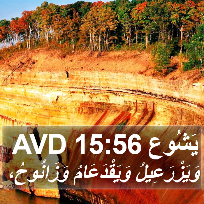 يَشُوع 15:56 AVD Bible Study