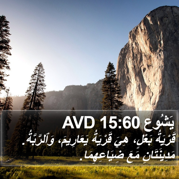 يَشُوع 15:60 AVD Bible Study