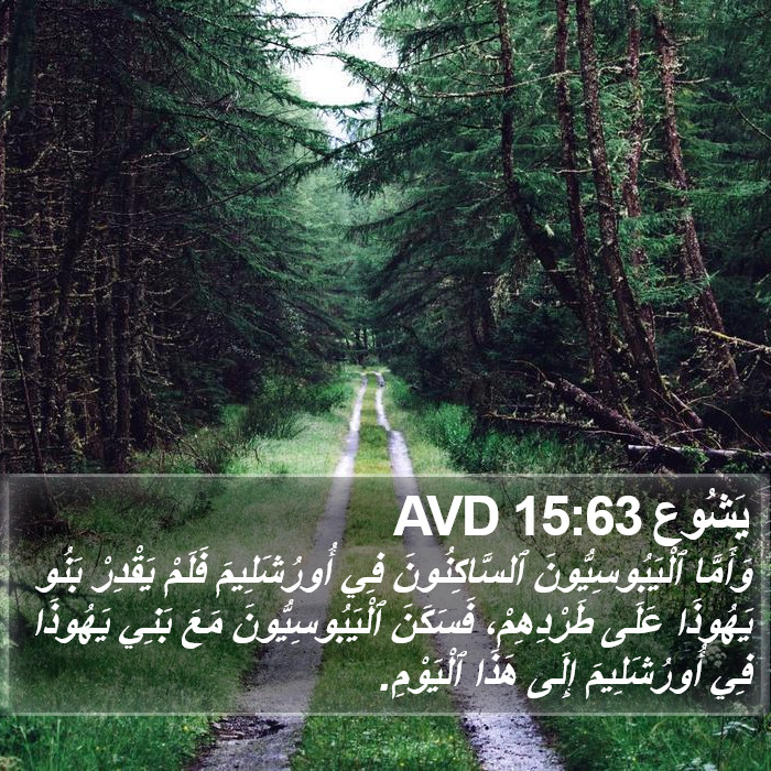 يَشُوع 15:63 AVD Bible Study