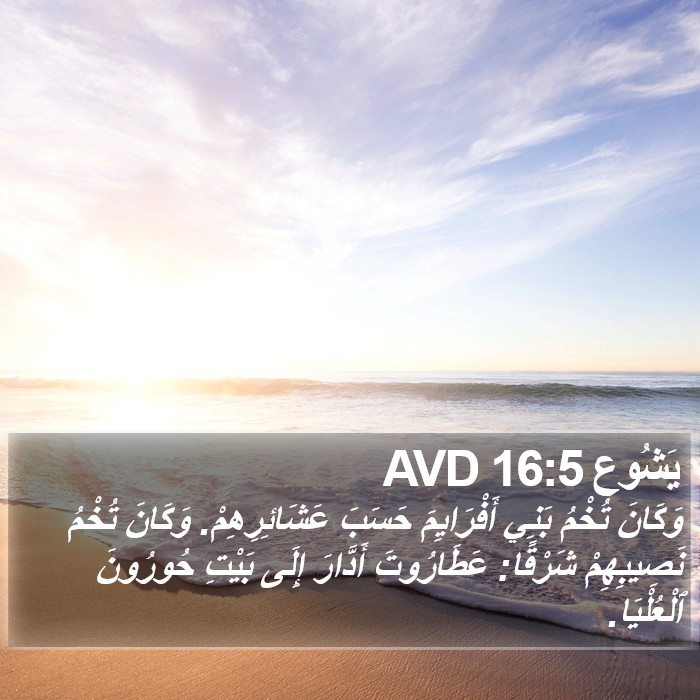 يَشُوع 16:5 AVD Bible Study