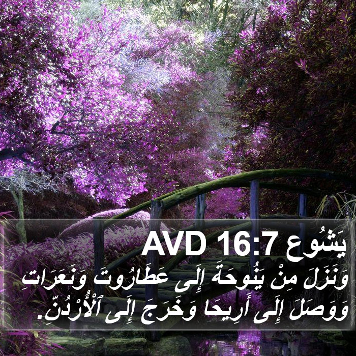 يَشُوع 16:7 AVD Bible Study