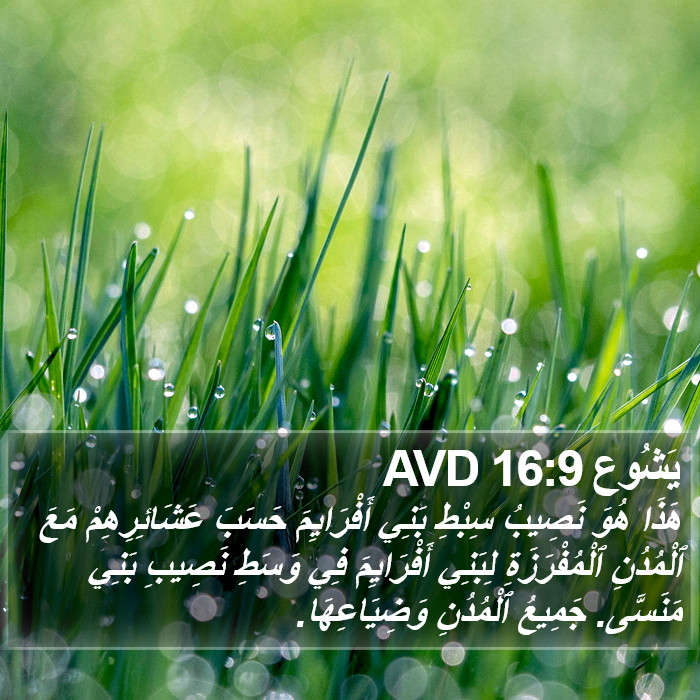 يَشُوع 16:9 AVD Bible Study