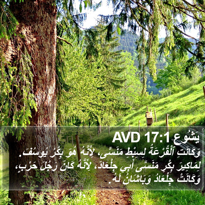 يَشُوع 17:1 AVD Bible Study