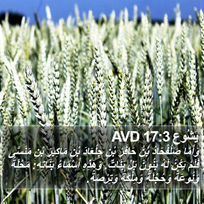 يَشُوع 17:3 AVD Bible Study