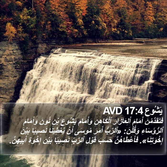 يَشُوع 17:4 AVD Bible Study