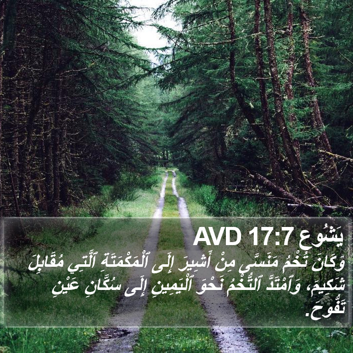 يَشُوع 17:7 AVD Bible Study