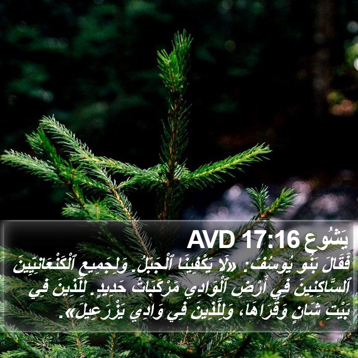 يَشُوع 17:16 AVD Bible Study