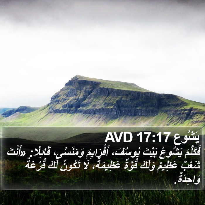 يَشُوع 17:17 AVD Bible Study