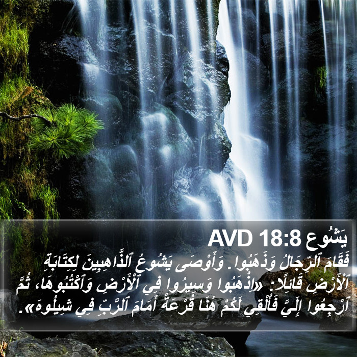 يَشُوع 18:8 AVD Bible Study