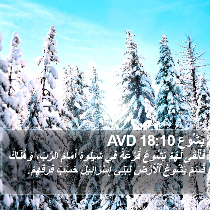 يَشُوع 18:10 AVD Bible Study