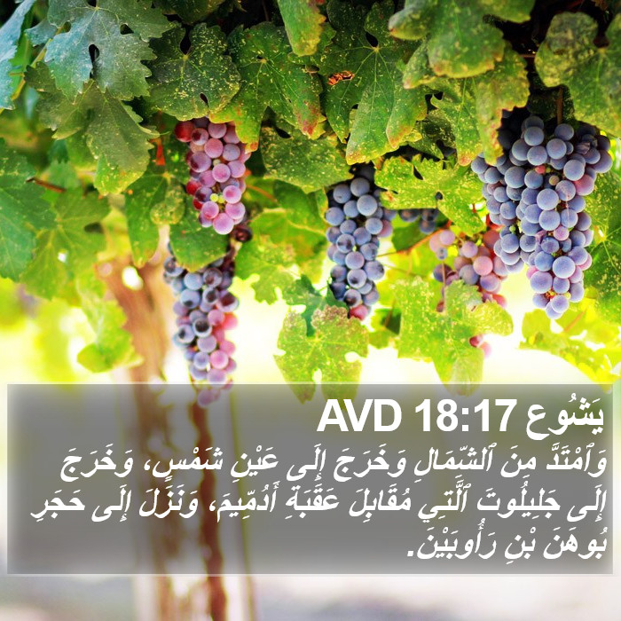 يَشُوع 18:17 AVD Bible Study