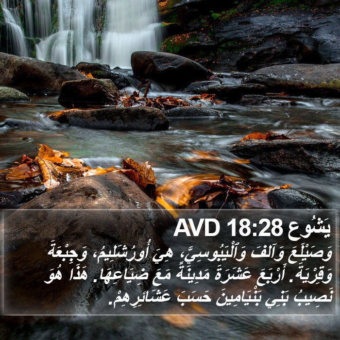 يَشُوع 18:28 AVD Bible Study