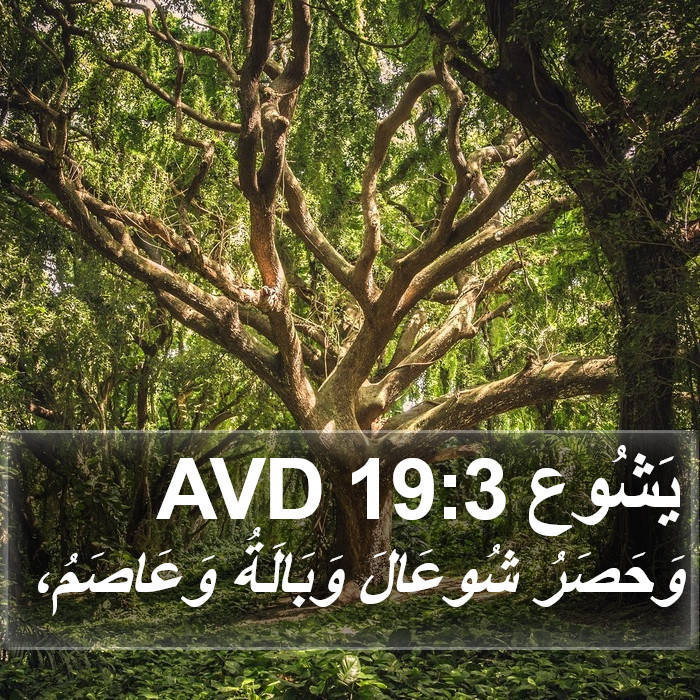 يَشُوع 19:3 AVD Bible Study