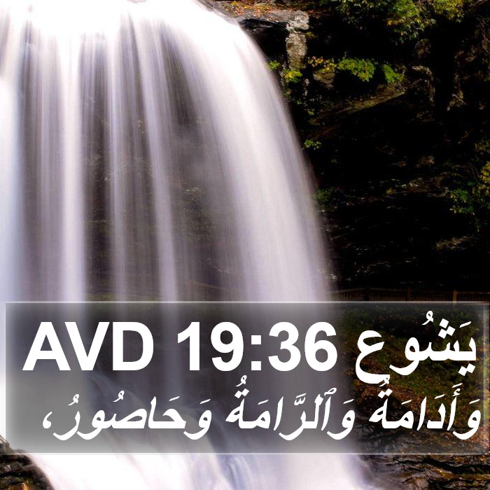 يَشُوع 19:36 AVD Bible Study