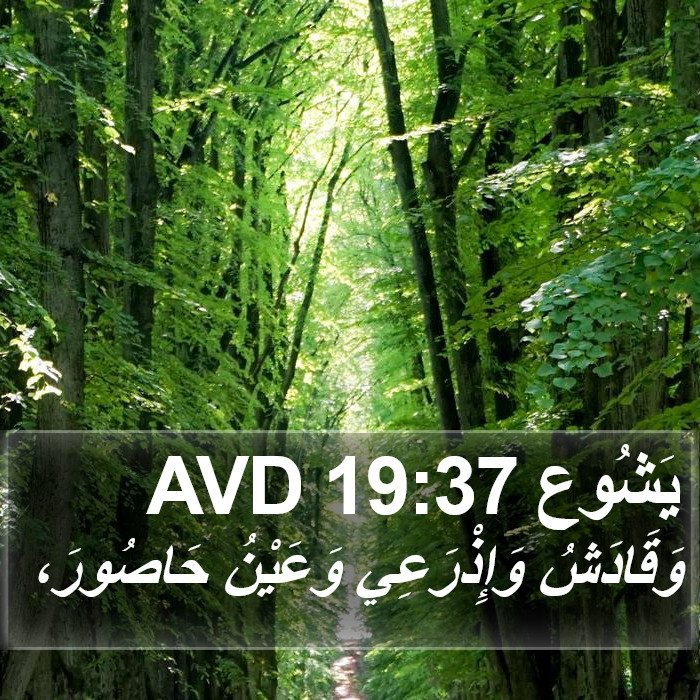 يَشُوع 19:37 AVD Bible Study