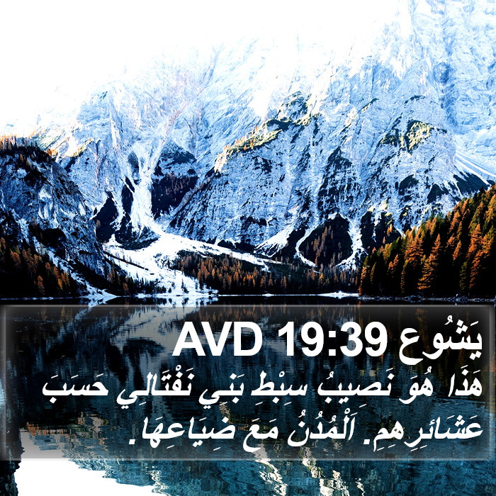 يَشُوع 19:39 AVD Bible Study