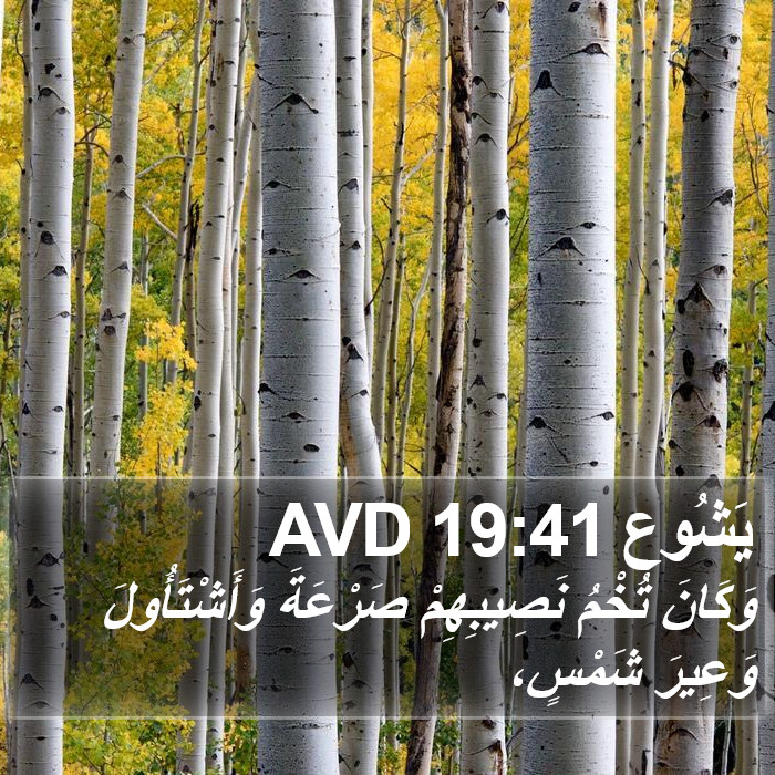 يَشُوع 19:41 AVD Bible Study