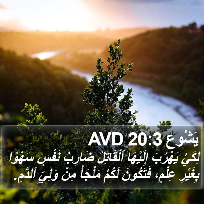 يَشُوع 20:3 AVD Bible Study