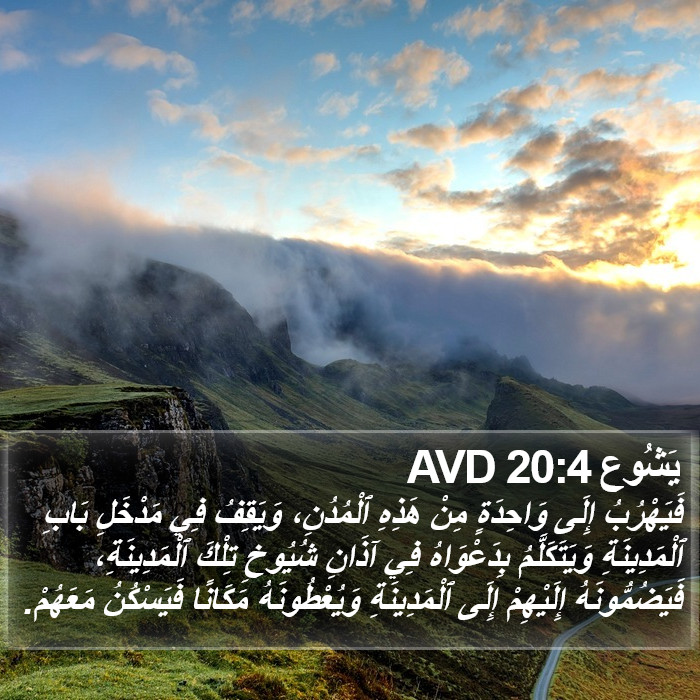 يَشُوع 20:4 AVD Bible Study