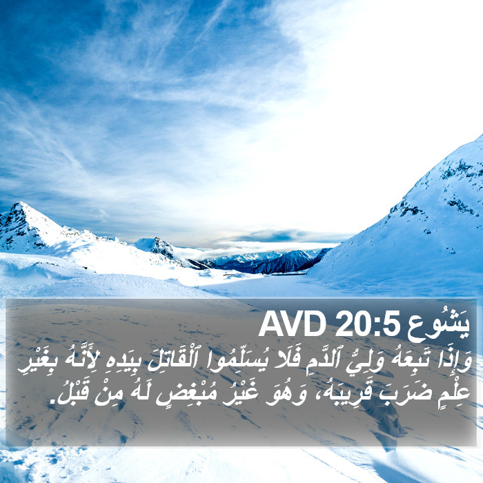 يَشُوع 20:5 AVD Bible Study