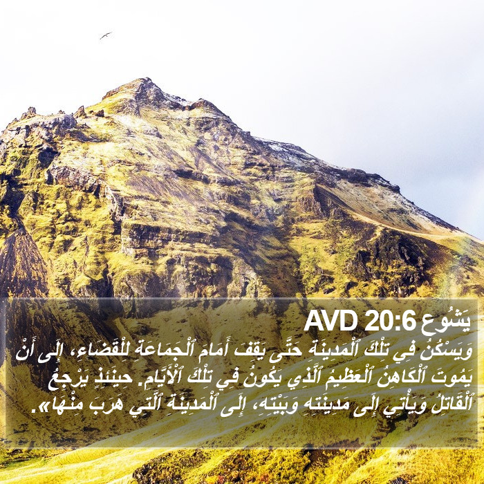 يَشُوع 20:6 AVD Bible Study