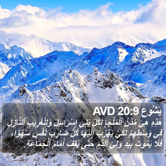 يَشُوع 20:9 AVD Bible Study