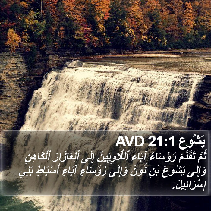 يَشُوع 21:1 AVD Bible Study