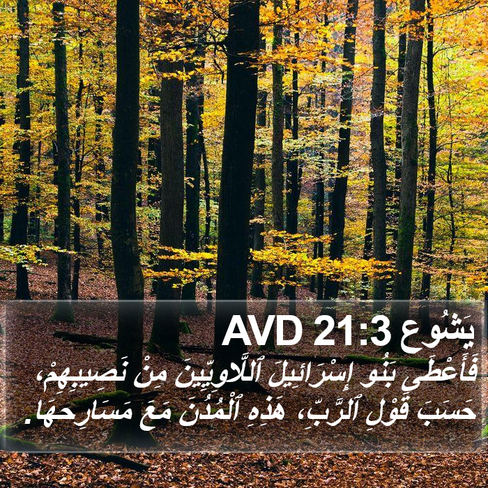 يَشُوع 21:3 AVD Bible Study