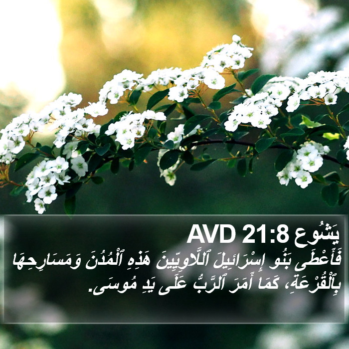 يَشُوع 21:8 AVD Bible Study