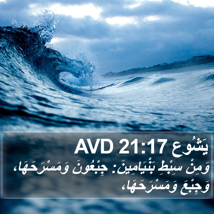 يَشُوع 21:17 AVD Bible Study