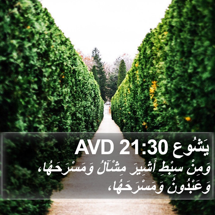 يَشُوع 21:30 AVD Bible Study