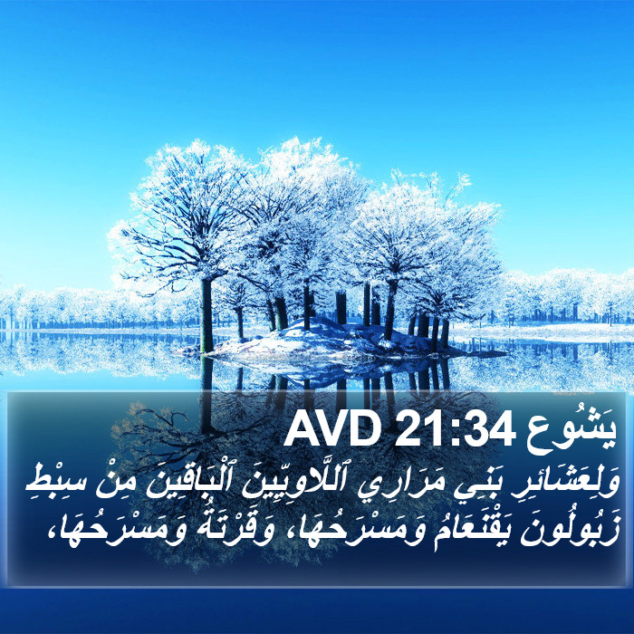 يَشُوع 21:34 AVD Bible Study