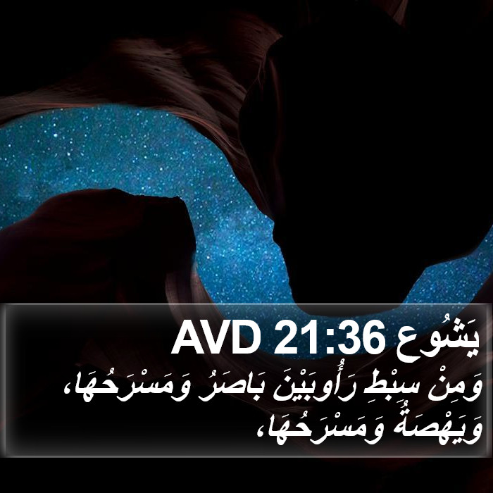 يَشُوع 21:36 AVD Bible Study