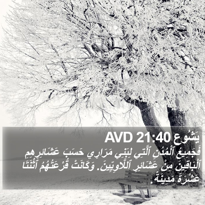 يَشُوع 21:40 AVD Bible Study