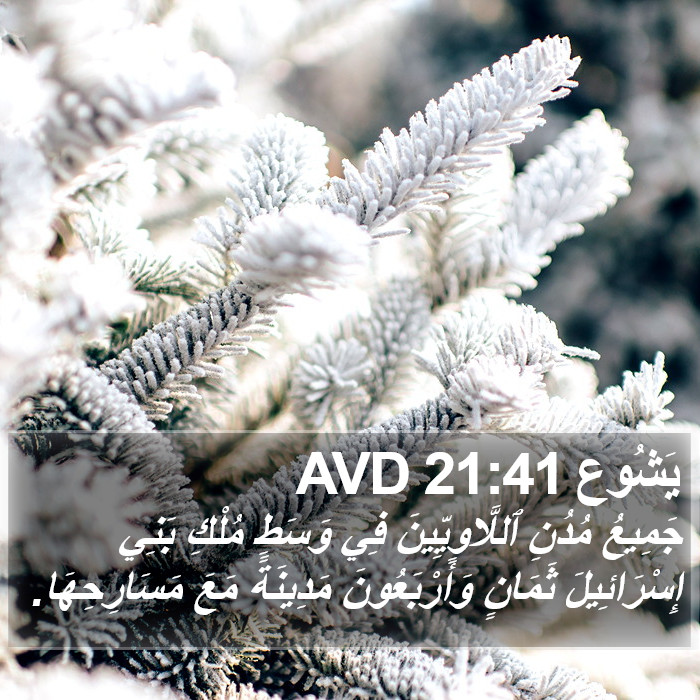 يَشُوع 21:41 AVD Bible Study