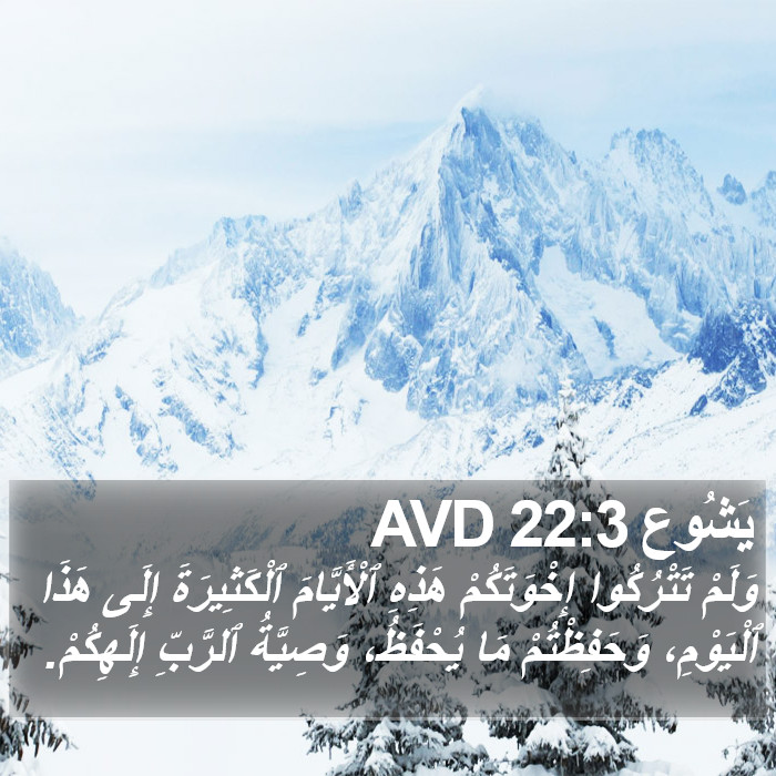 يَشُوع 22:3 AVD Bible Study