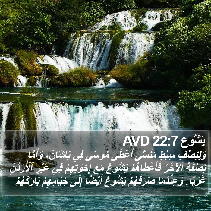 يَشُوع 22:7 AVD Bible Study