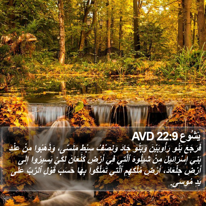 يَشُوع 22:9 AVD Bible Study