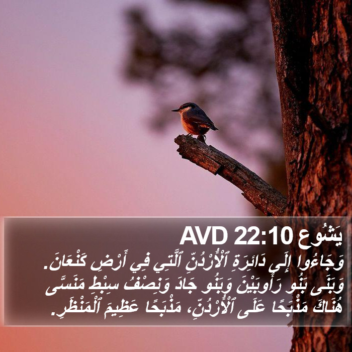 يَشُوع 22:10 AVD Bible Study