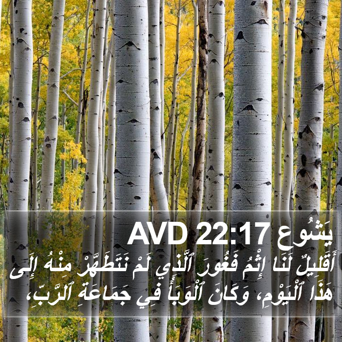 يَشُوع 22:17 AVD Bible Study