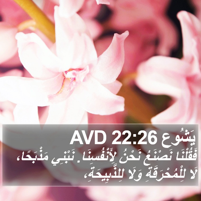 يَشُوع 22:26 AVD Bible Study