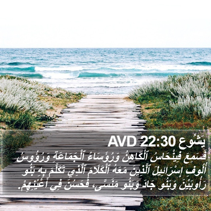 يَشُوع 22:30 AVD Bible Study