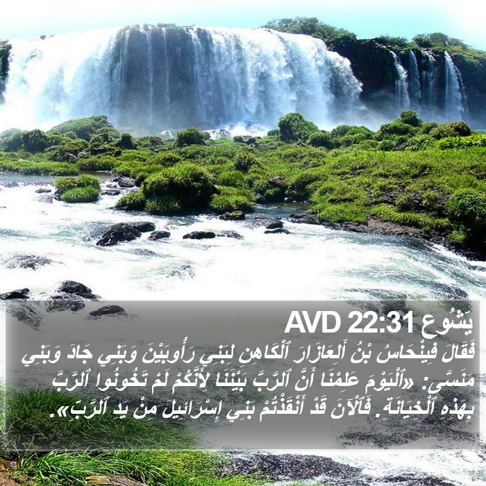 يَشُوع 22:31 AVD Bible Study