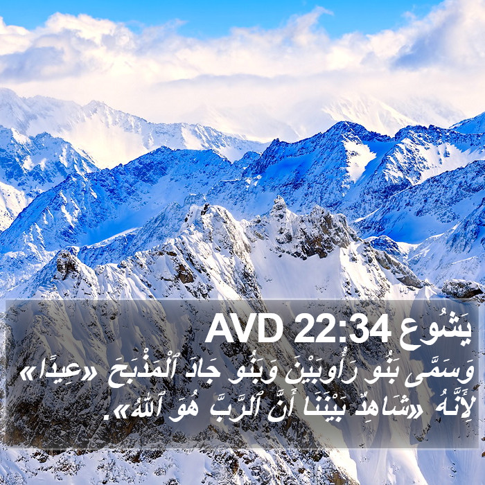 يَشُوع 22:34 AVD Bible Study