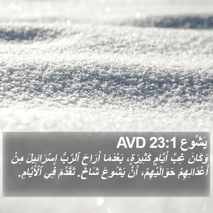 يَشُوع 23:1 AVD Bible Study