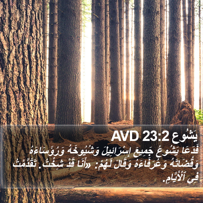 يَشُوع 23:2 AVD Bible Study