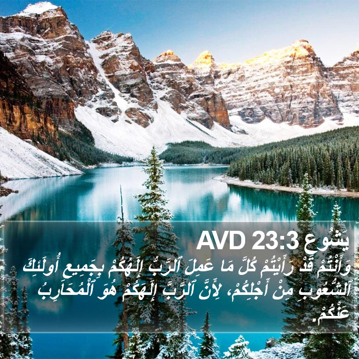 يَشُوع 23:3 AVD Bible Study